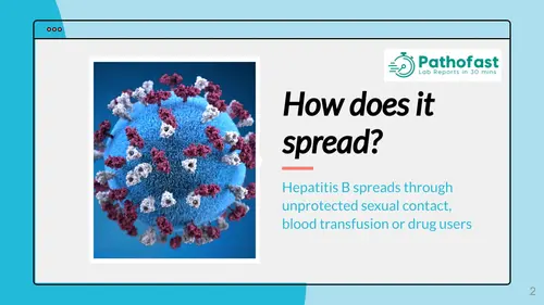 How does hepatitis b spread?