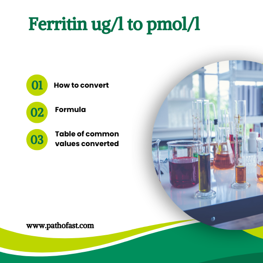Ferritin ug/L to pmol/L : Conversion Table, formula and more