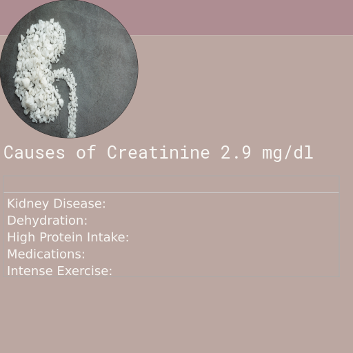 Causes of Creatinine 2.9