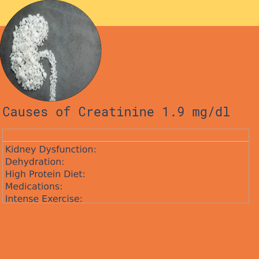 Causes of Creatinine 1.9