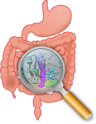 List of Tests for Gastrointestinal problems