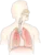 Do you have a history of respiratory issues such as asthma or chronic bronchitis