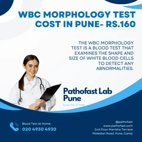 WBC Morphology Test Cost in Pune