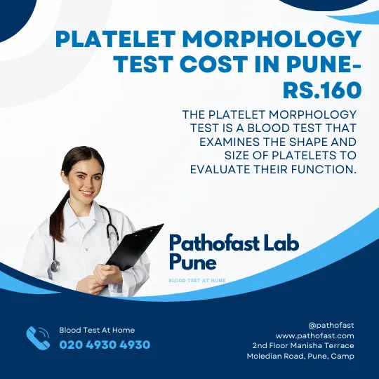 Platelet Morphology Test Cost in Pune