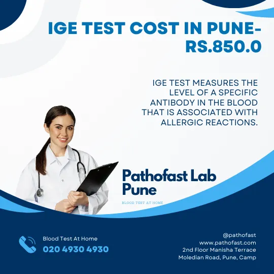 IgE Test Cost in Pune
