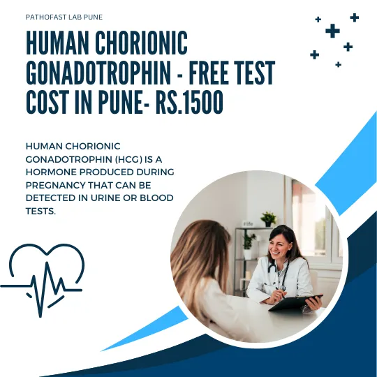 Human Chorionic Gonadotrophin - Free Cost in Pune