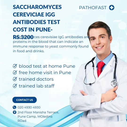 Saccharomyces Cereviciae IgG Antibodies Cost in Pune