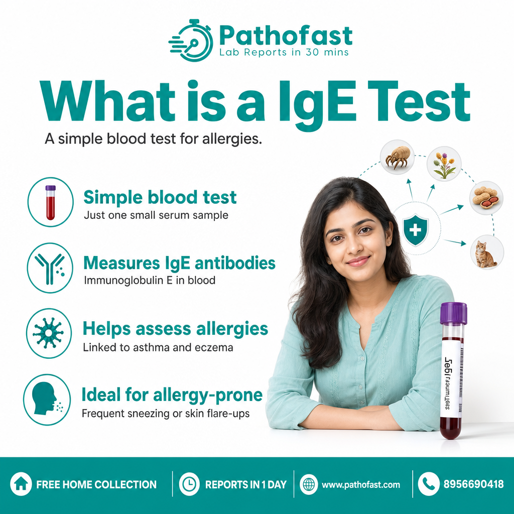 What is a IgE Test - Pathofast Lab Pune