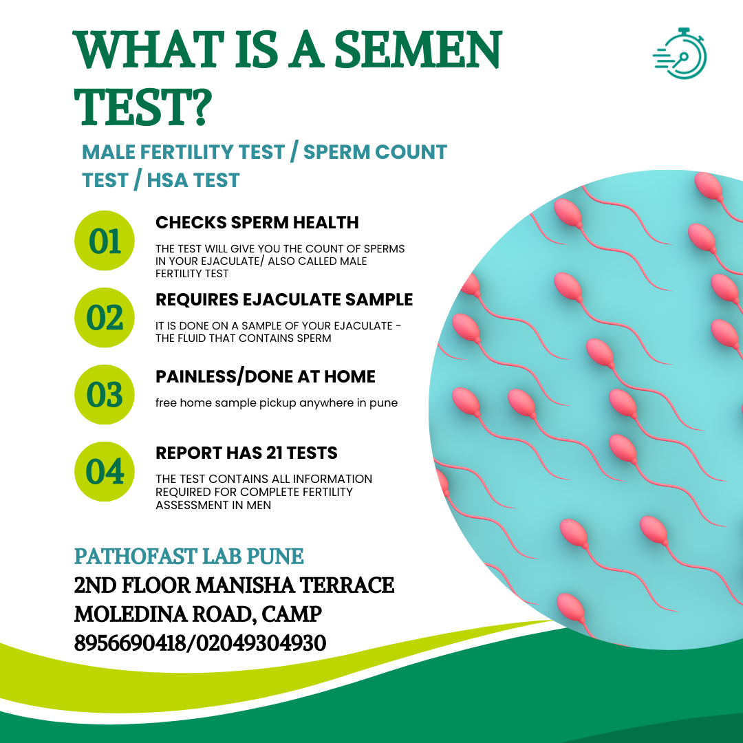 What is a Semen Test(Sperm Count Test)?