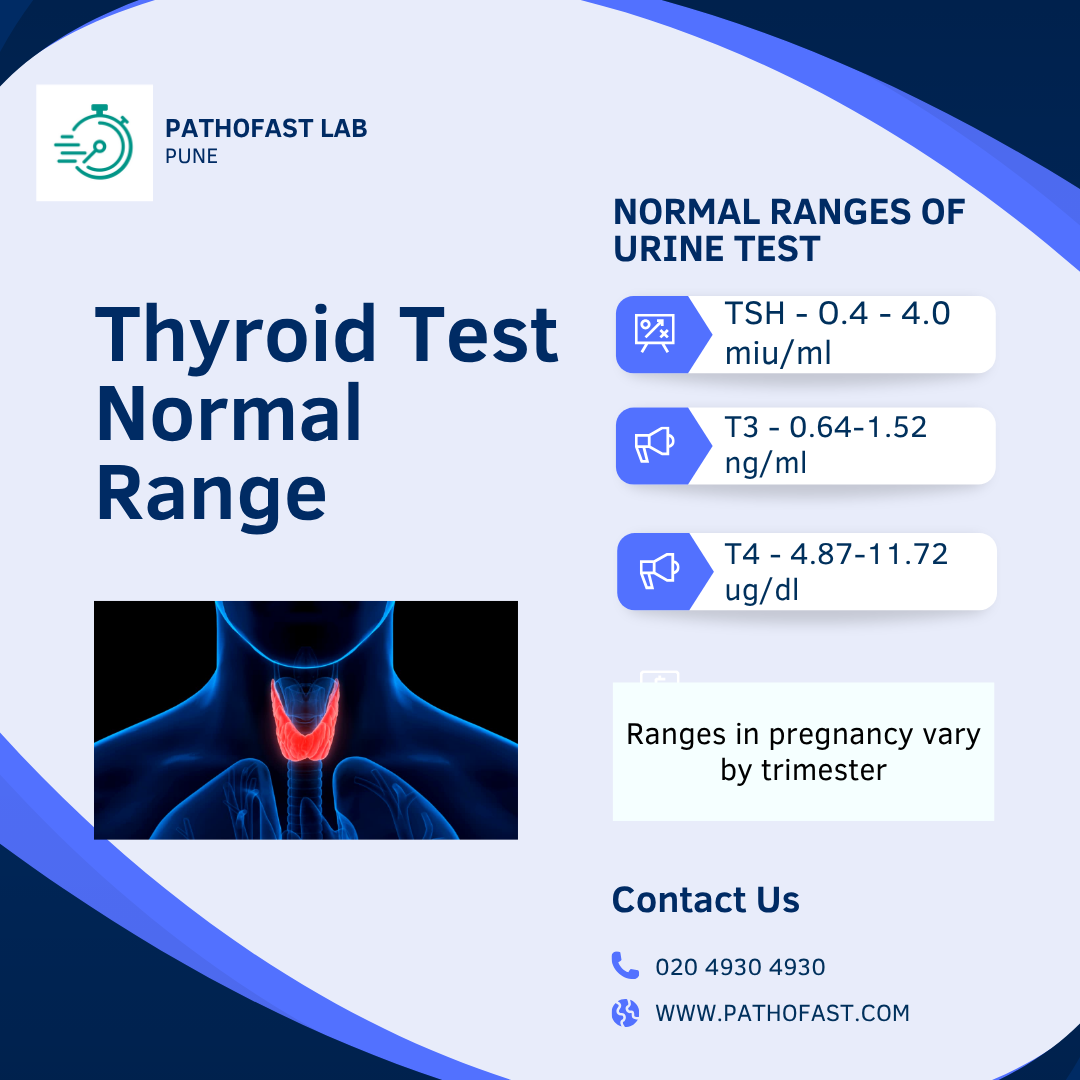 Thyroid Test Normal Range