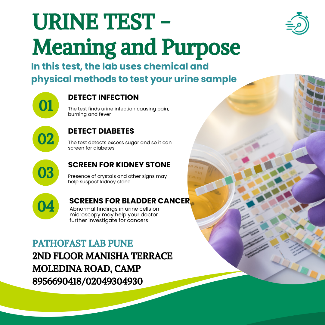 Urine Test Meaning | Urine Routine Test Purpose and what it detects