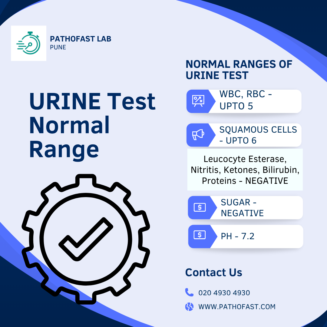 Urine Test Normal Range
