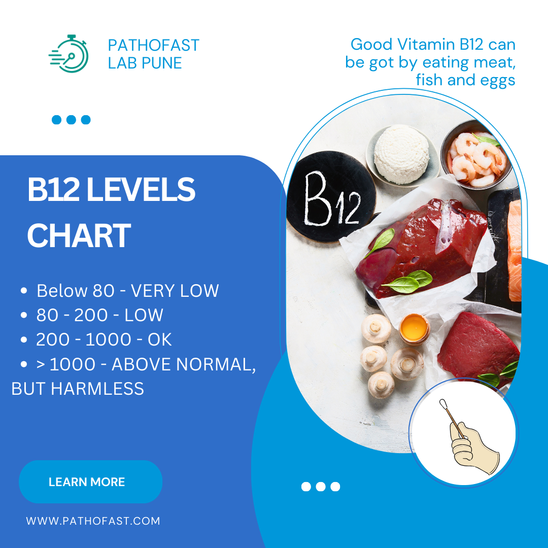 Vitamin B12 Test Normal Range