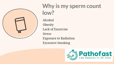 Reasons for low semen count - infographic